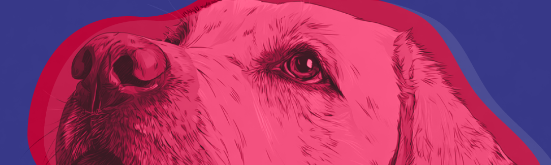 An illustration of a dog